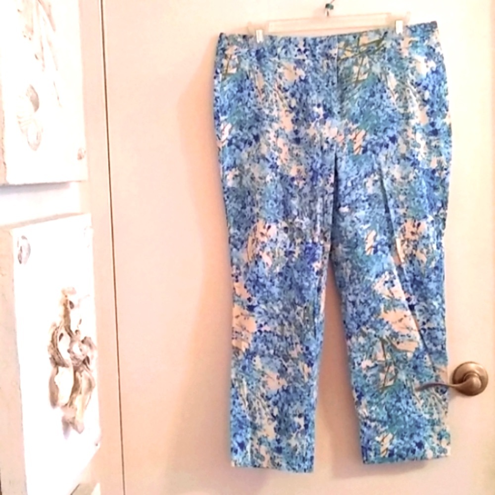 TALBOTS Pants Sz 10P